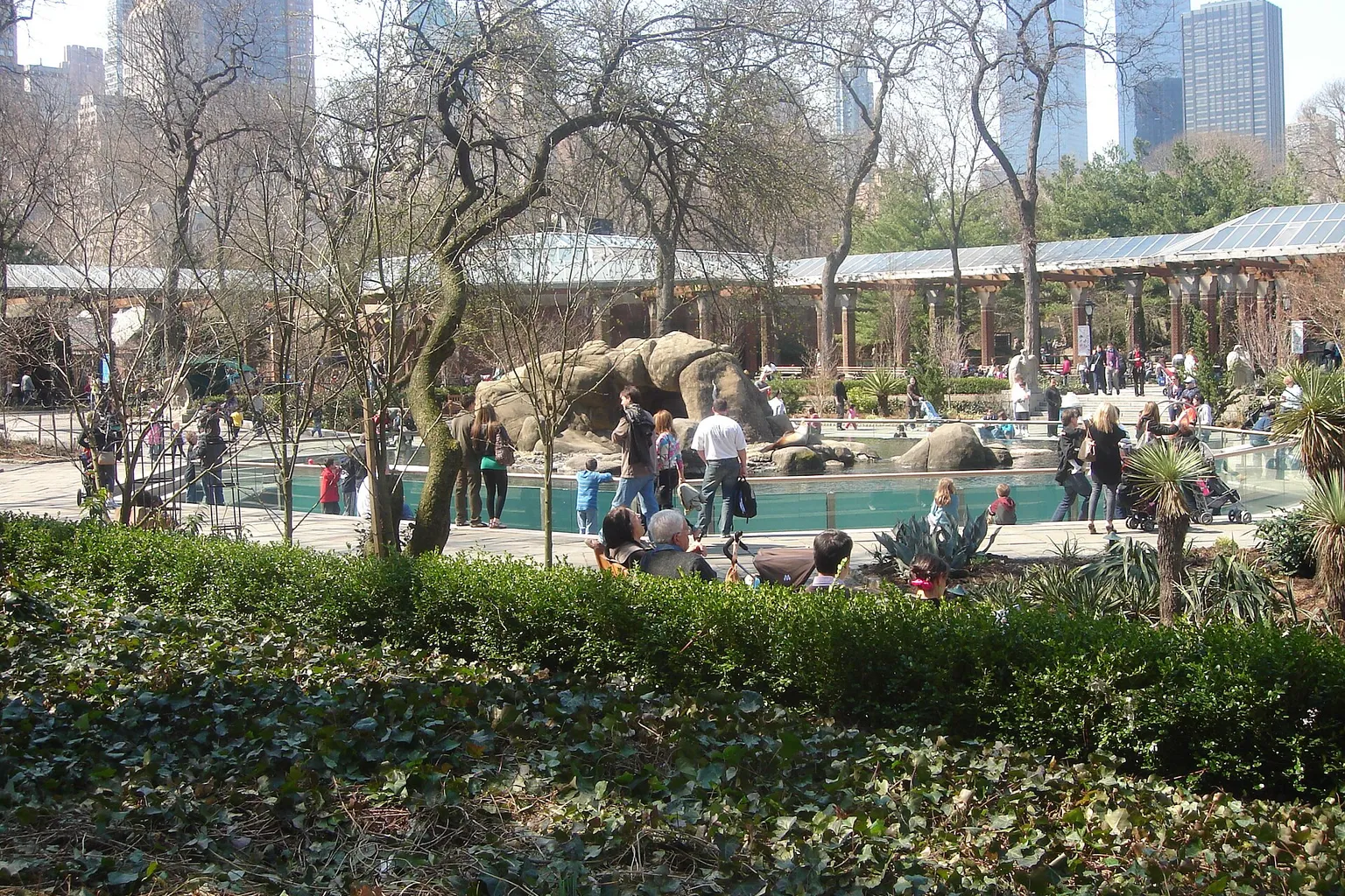Central Park Zoo Ticket Booking: Step-by-Step Guide