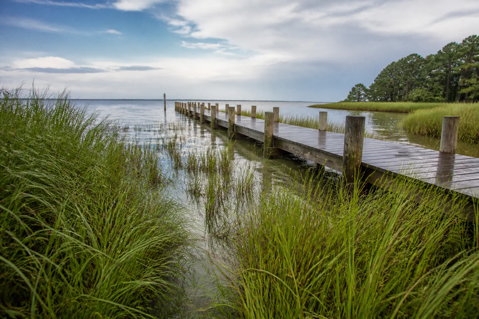 Chesapeake Bay buffer plan: Somerset County filing steps