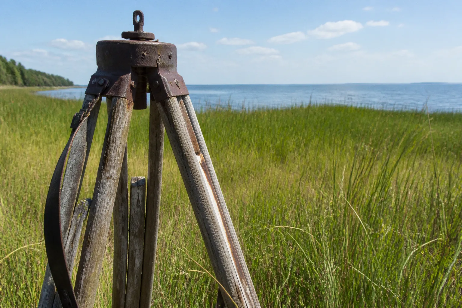 Chesapeake Bay critical area permit: application steps