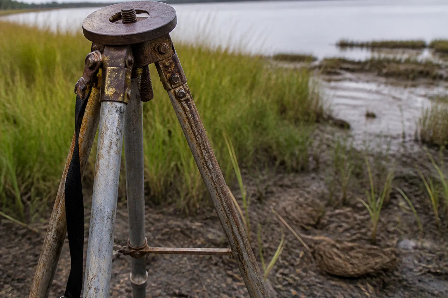 Chesapeake Bay restoration: project prep checklist