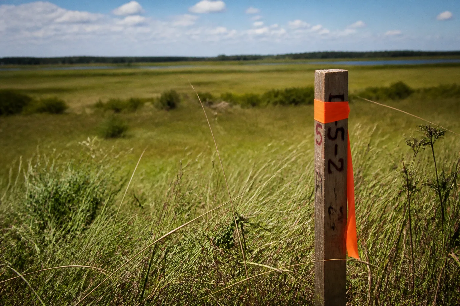 Housing site selection: choosing the right Somerset location