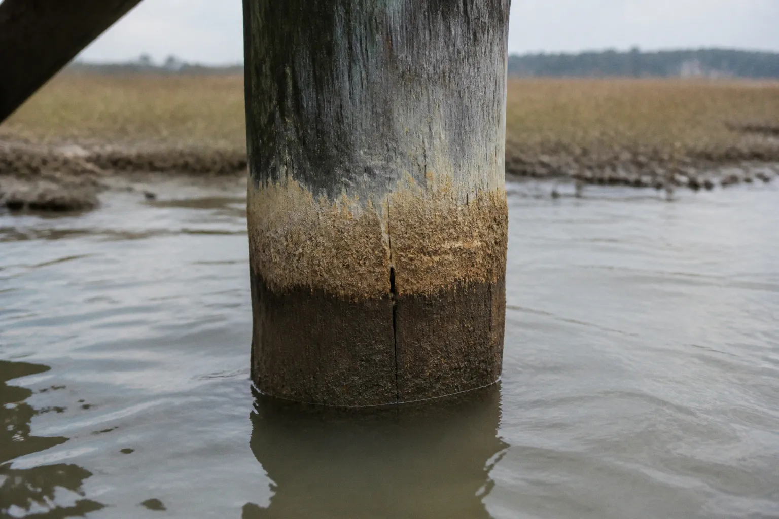 Living shoreline permit errors in Somerset County