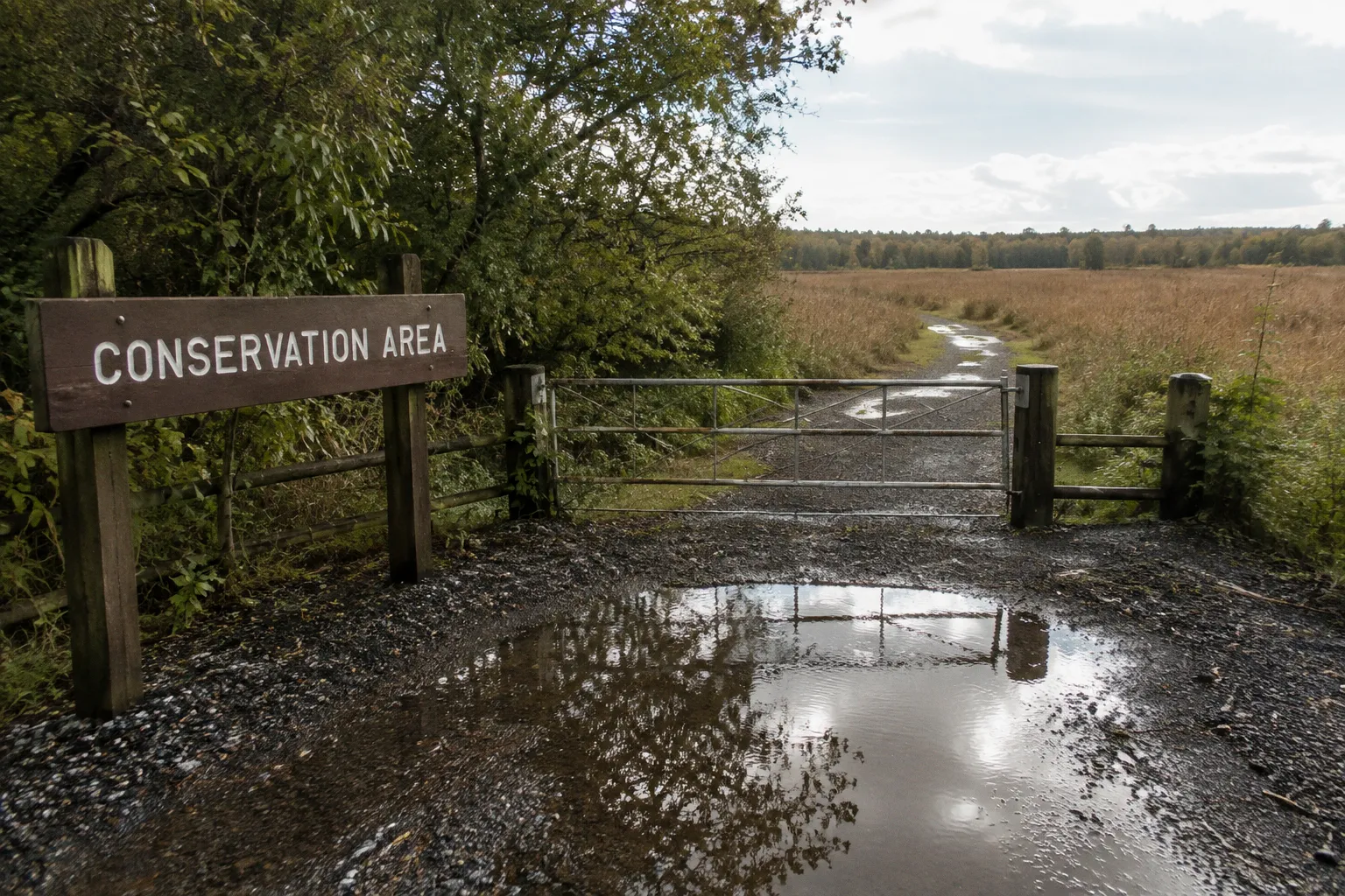 Maryland Allocates $9 Million to Expand Regional Land Conservation and Recreation