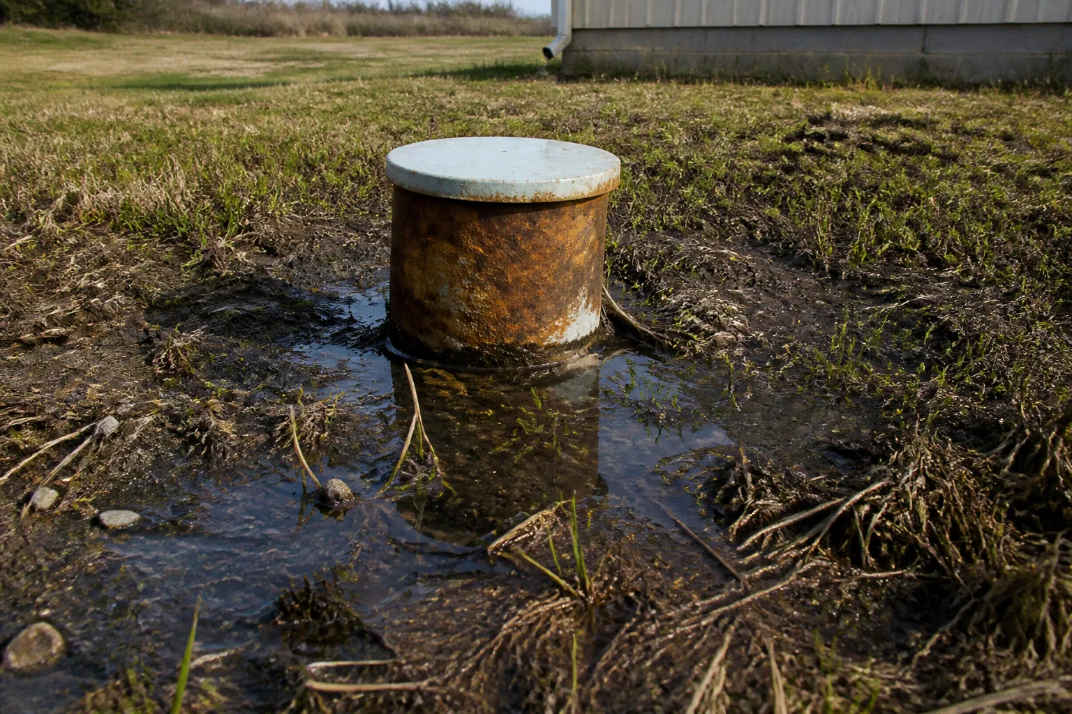 Septic system failures: fixing high water table issues