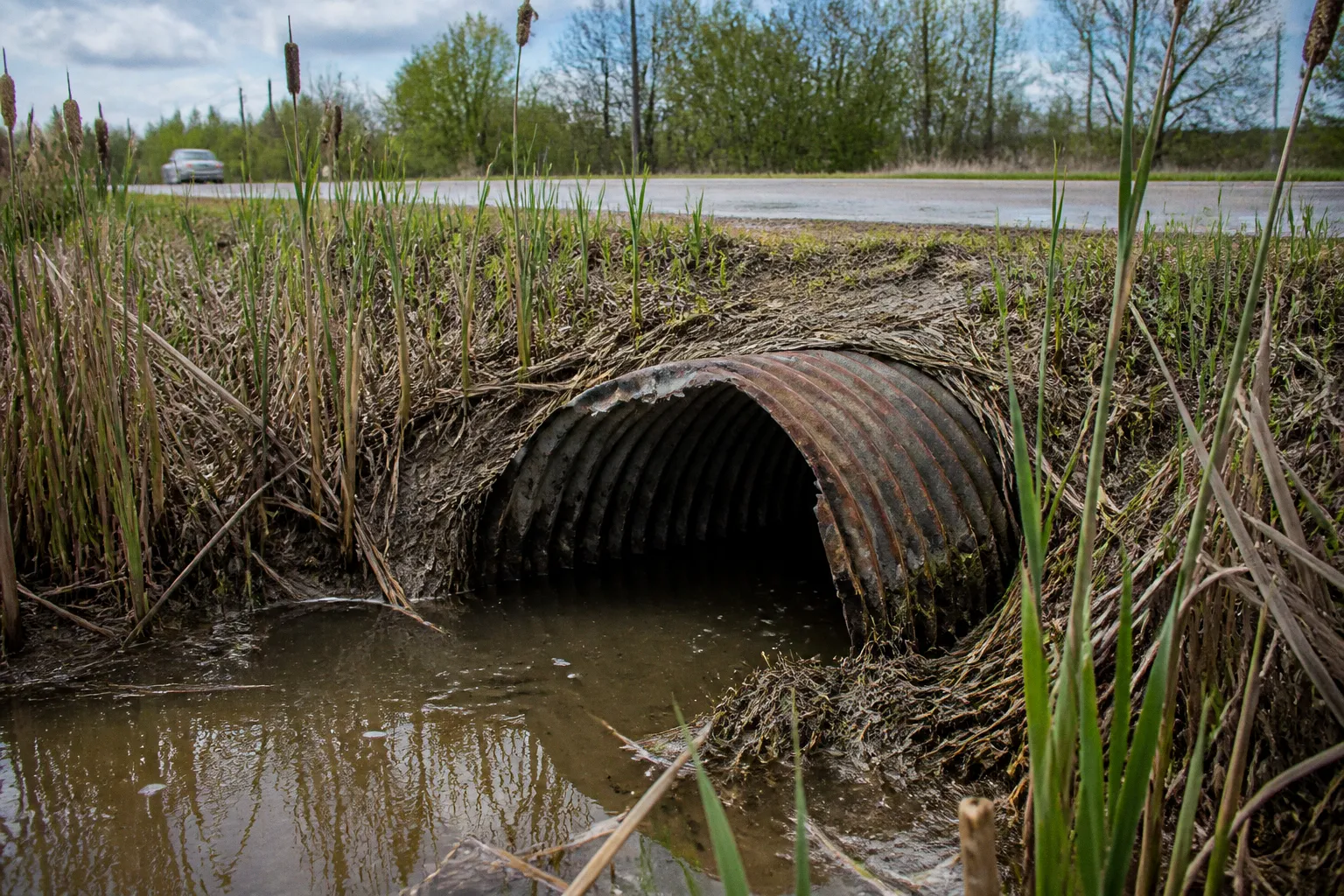 Tax ditch maintenance in Somerset: five request steps