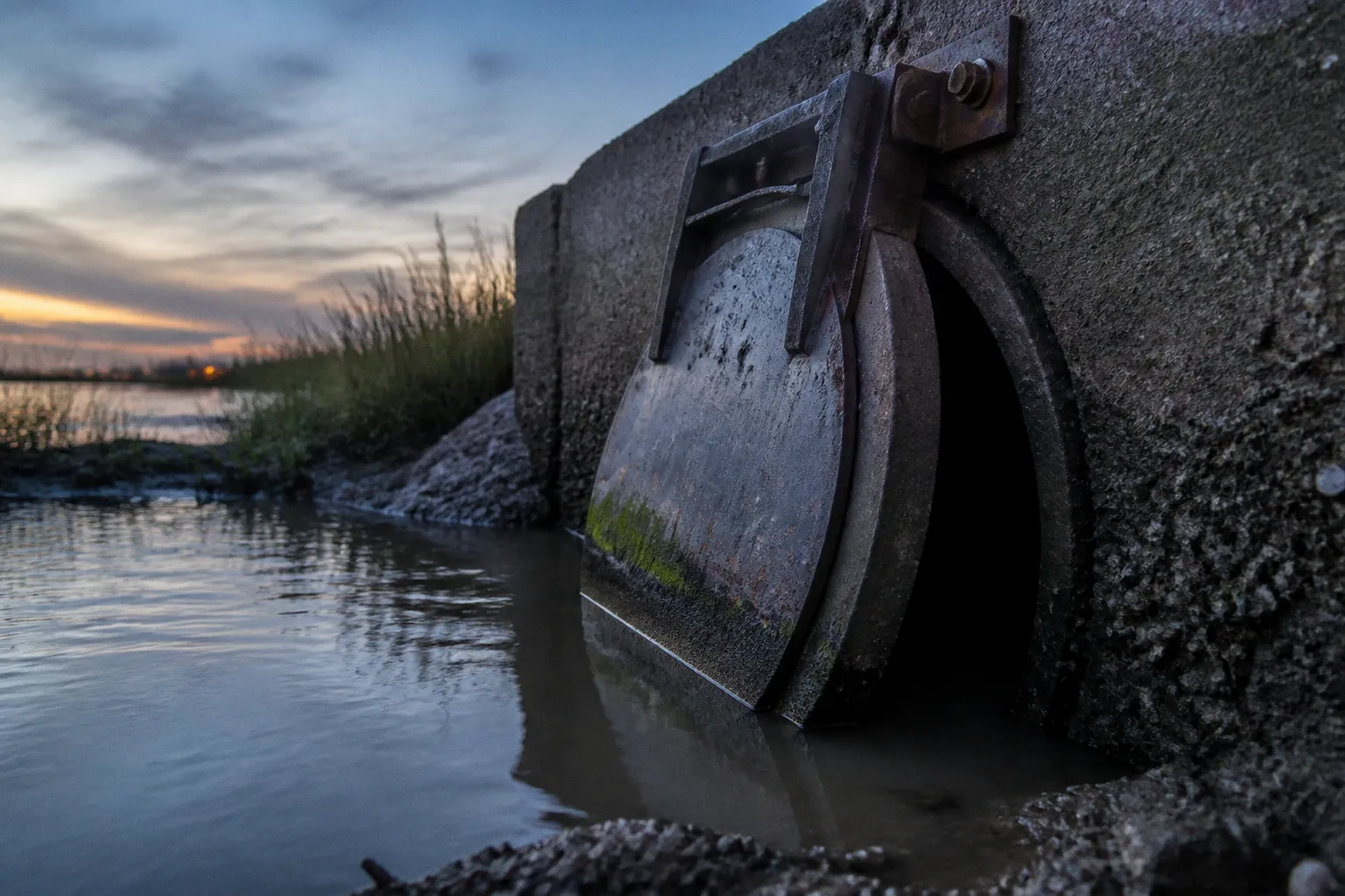 Tide Gates for Coastal Ditches: Choosing the Right Model