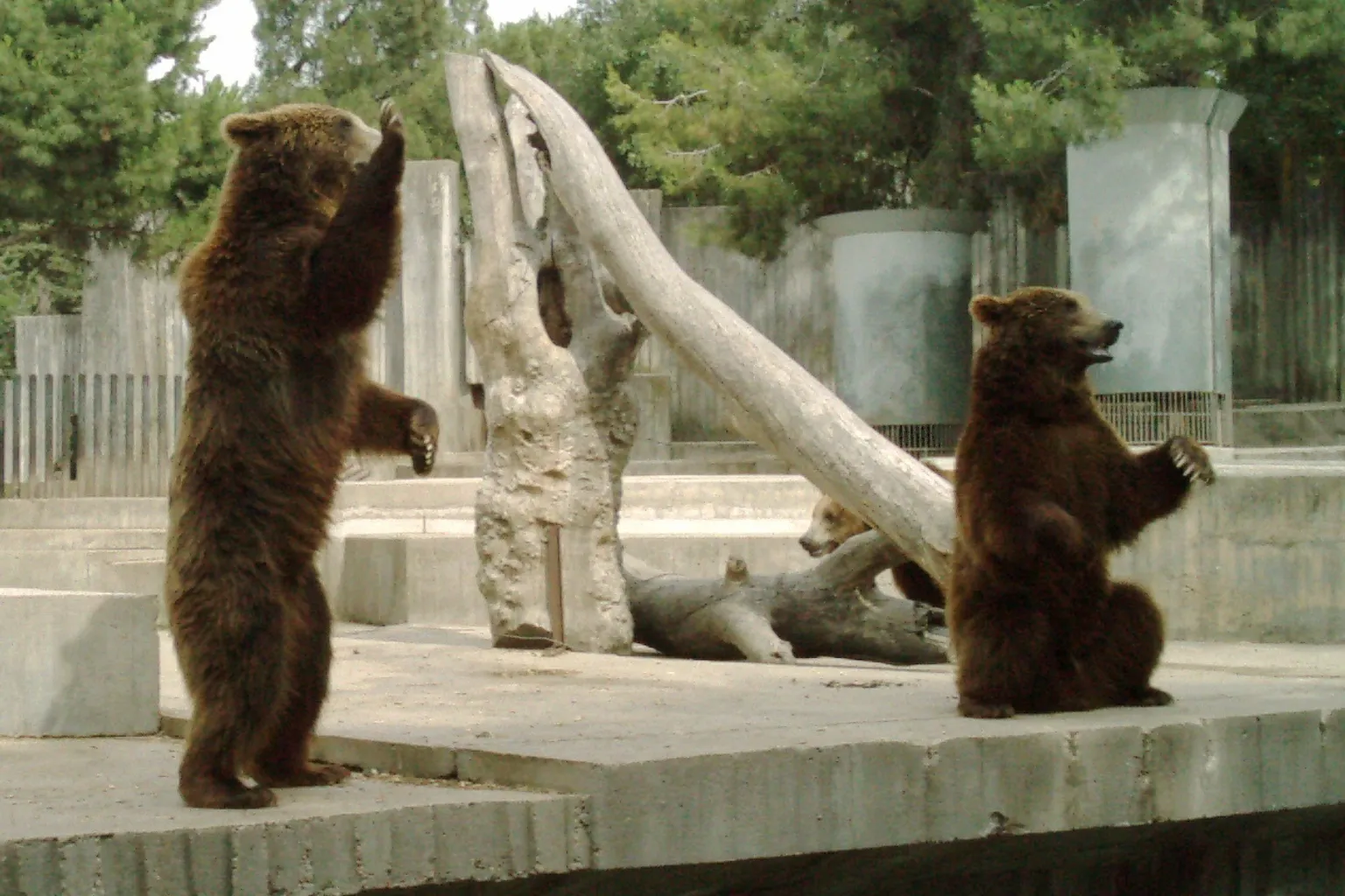 Zoo Aquarium Madrid Tickets: Step-by-Step Guide